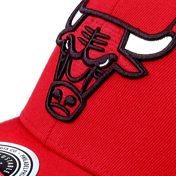 Mitchell & Ness Team Ground 2.0 Cap (chicago bulls red)